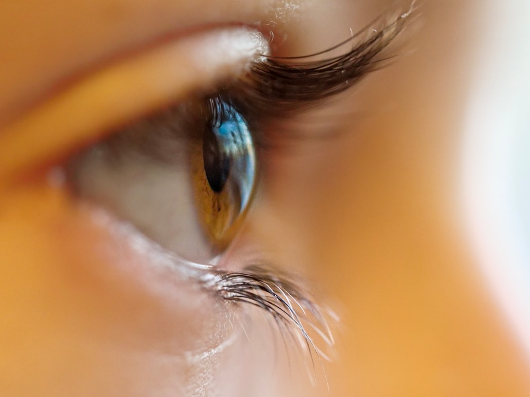 Kontaktlinsen und Brille Vergleich